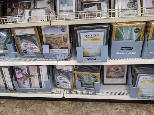 Dollar Store «Dollar Tree», reviews and photos, 301 E Main St, Westfield, MA 01085, USA