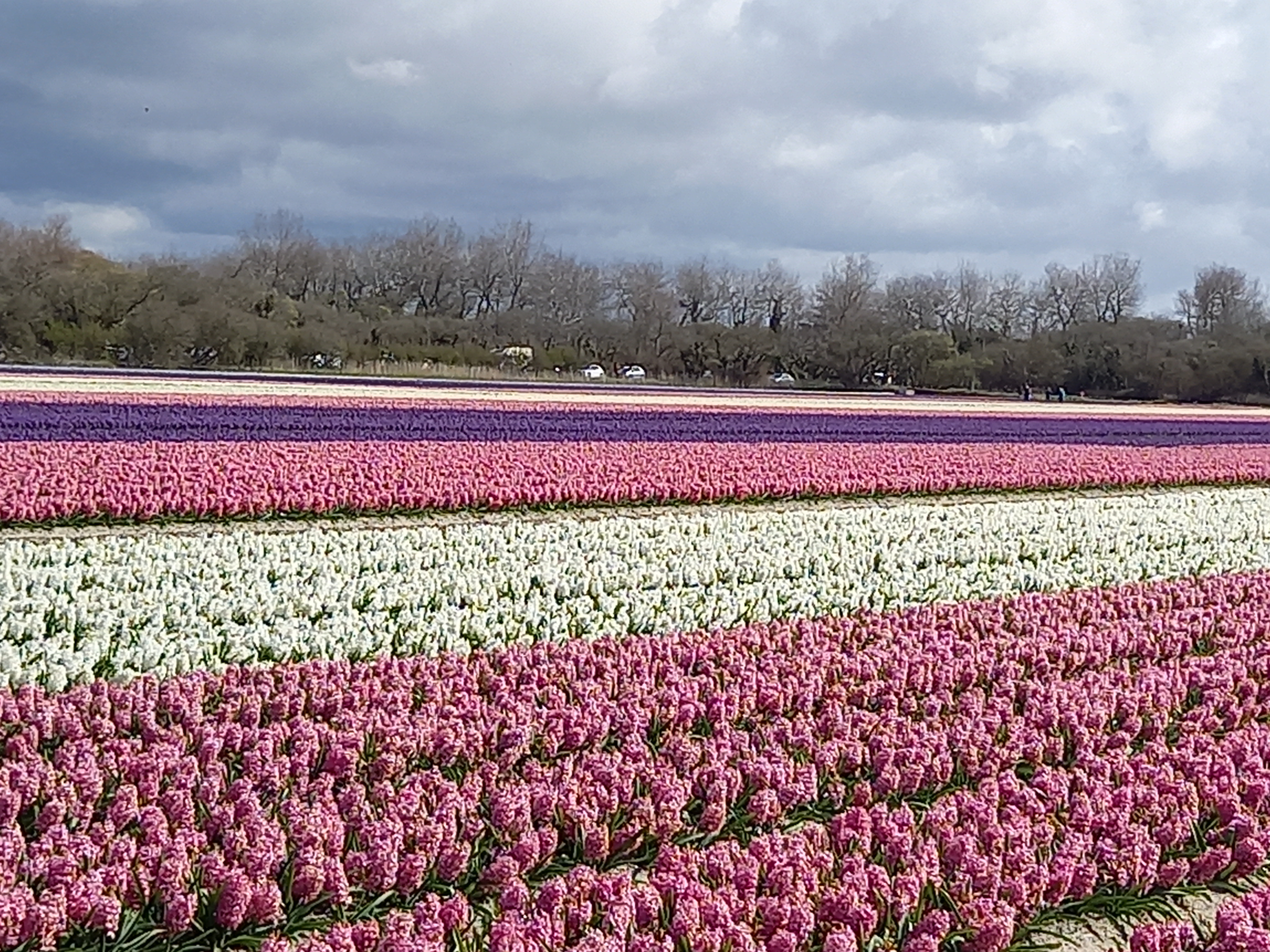 Photo n° 3 de l'avis de denis.i fait le 25/03/2021 à 11:34
