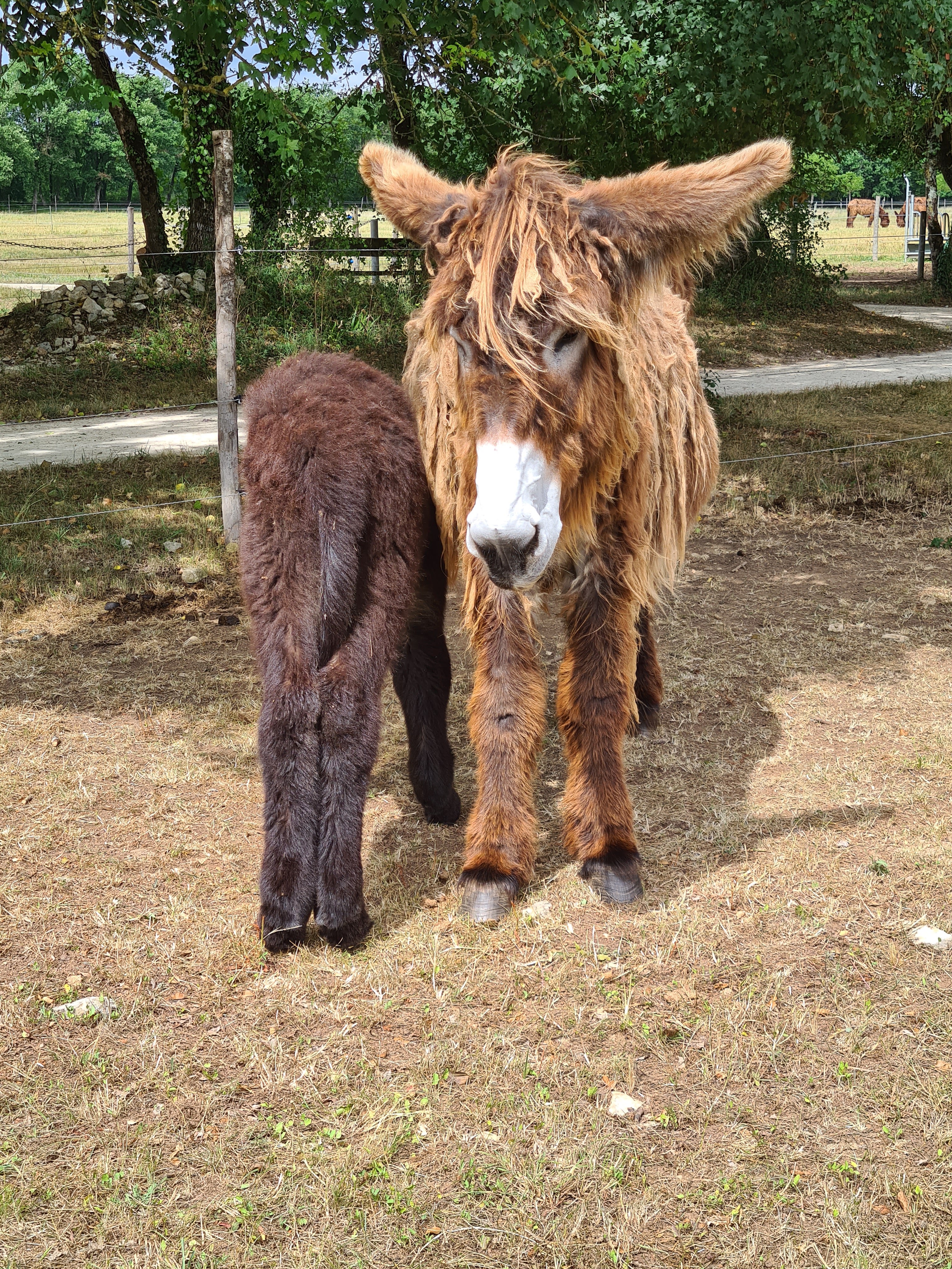 Photo n° 8 de l'avis de Christophe.u fait le 05/06/2022 à 16:34