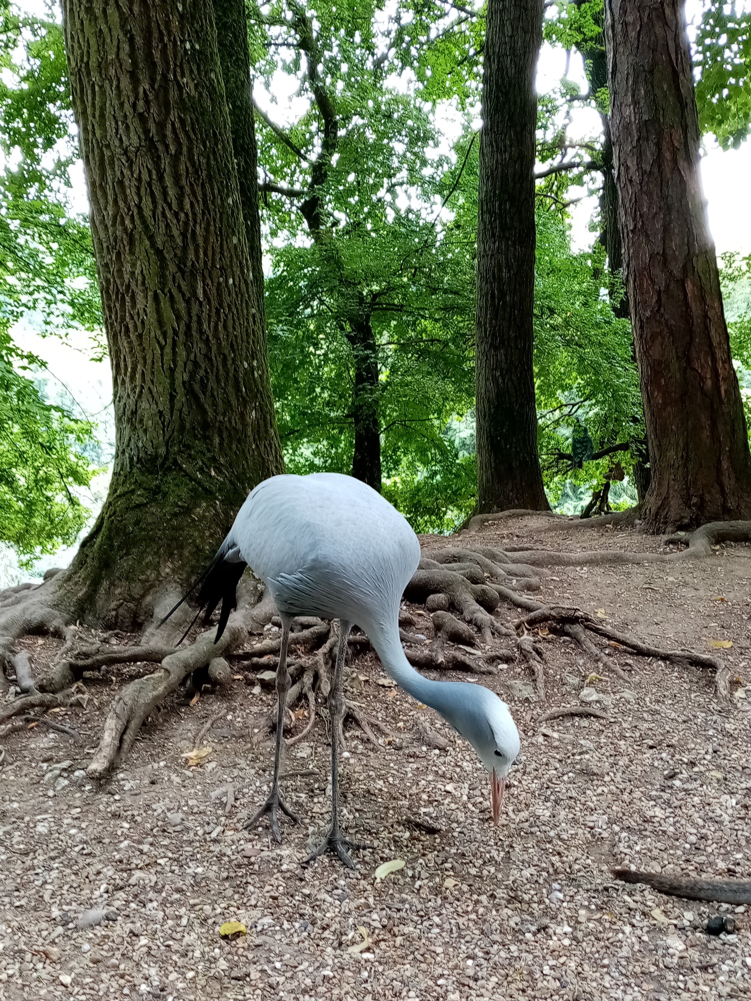 Photo n° 24 de l'avis de Marielaure.a fait le 25/07/2023 à 19:08