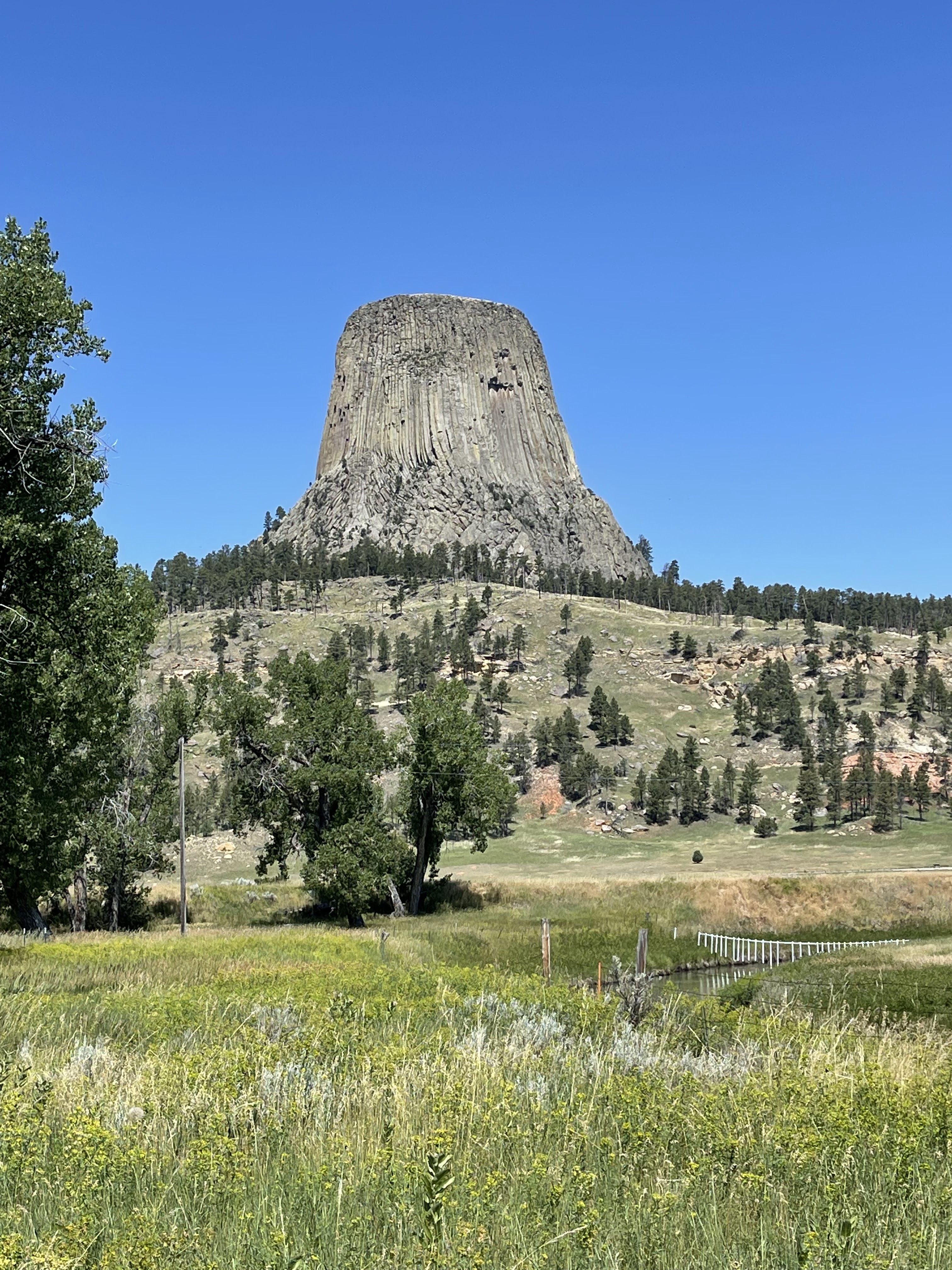 Picture of a place: Devils Tower National Monument