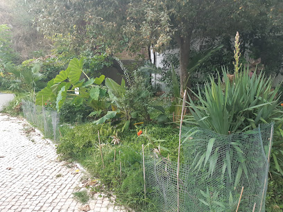 Jardim das Plantas Doadas