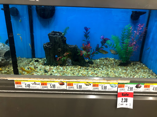 Pet Supply Store «Pet Supplies Plus», reviews and photos, 375 Paterson Ave #105, Wallington, NJ 07057, USA