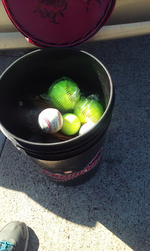 Sporting Goods Store «Mesquite Sport Center», reviews and photos, 321 Gross Rd, Mesquite, TX 75149, USA