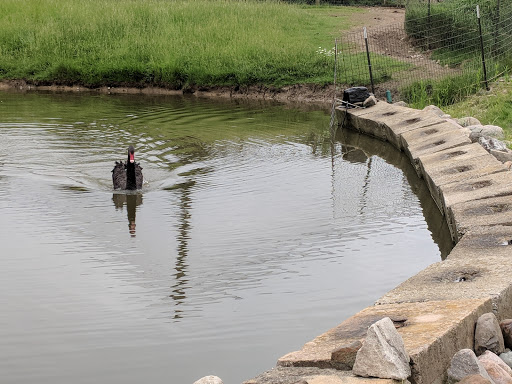 Wildlife Park «The Creature Conservancy», reviews and photos, 4950 Ann Arbor-Saline Rd, Ann Arbor, MI 48103, USA