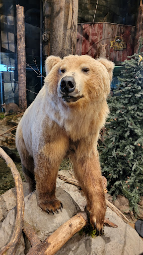 Sporting Goods Store «Bass Pro Shops», reviews and photos, 10000 Bass Pro Blvd, Rossford, OH 43460, USA