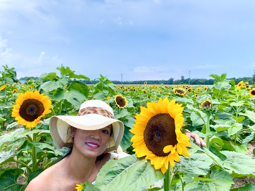 Fruit and Vegetable Store «Henley Farm», reviews and photos, 3513 Charity Neck Rd, Virginia Beach, VA 23456, USA