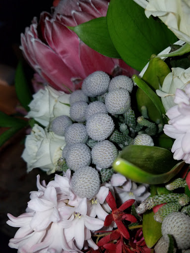 Italian Restaurant «Bottega Louie», reviews and photos, 700 S Grand Ave, Los Angeles, CA 90017, USA