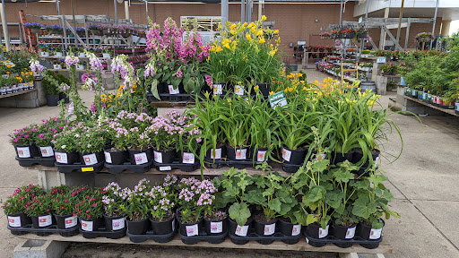 Grocery Store «Meijer», reviews and photos, 10138 Indianapolis Blvd, Highland, IN 46322, USA