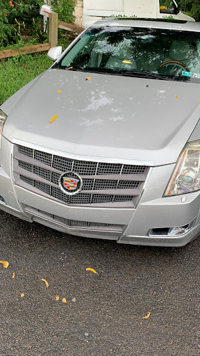 Used Car Dealer «Carmen Auto Group», reviews and photos, 1705 Easton Rd, Willow Grove, PA 19090, USA