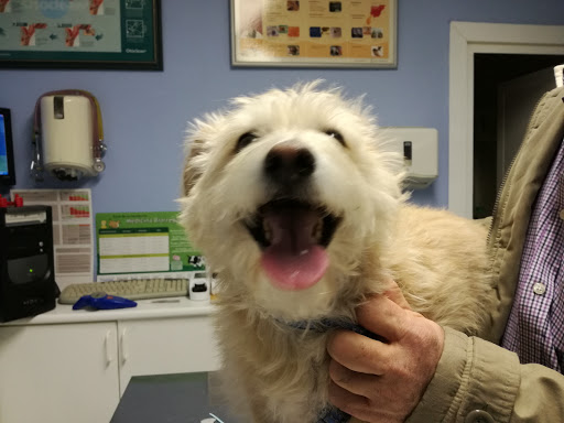 Clínica Veterinaria Tropican en Móstoles