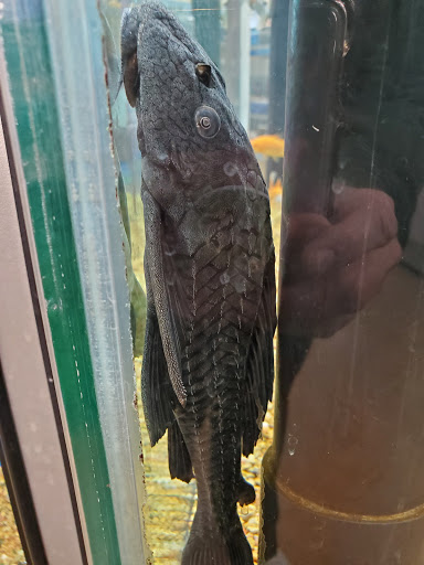 Pet Supply Store «Petco Animal Supplies», reviews and photos, 806 W Paradise Dr, West Bend, WI 53095, USA