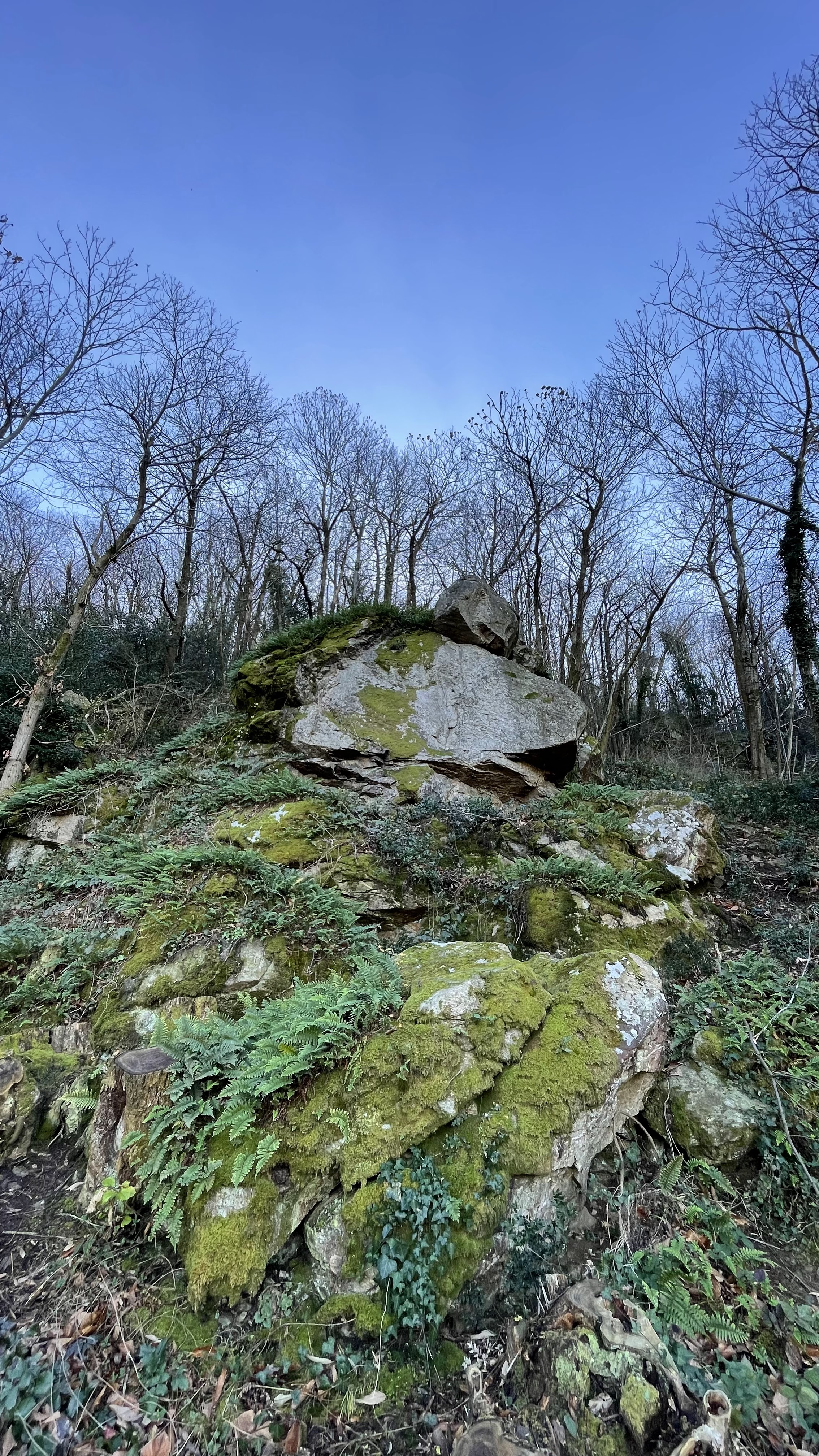 Photo n° 5 de l'avis de Julien.e fait le 31/12/2023 à 08:49