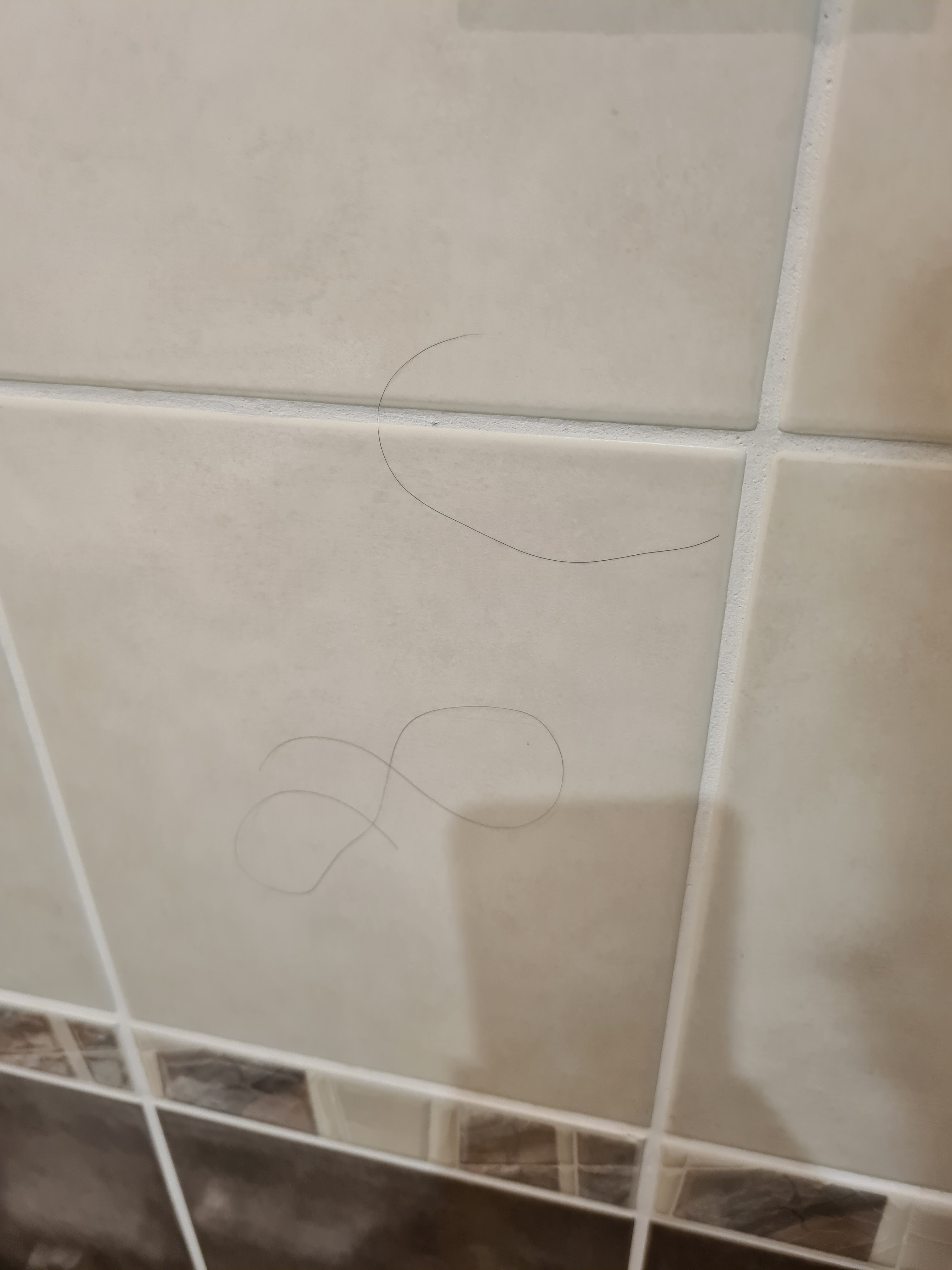 Photo n° 2 de l'avis de Secret.e fait le 28/07/2021 à 13:07