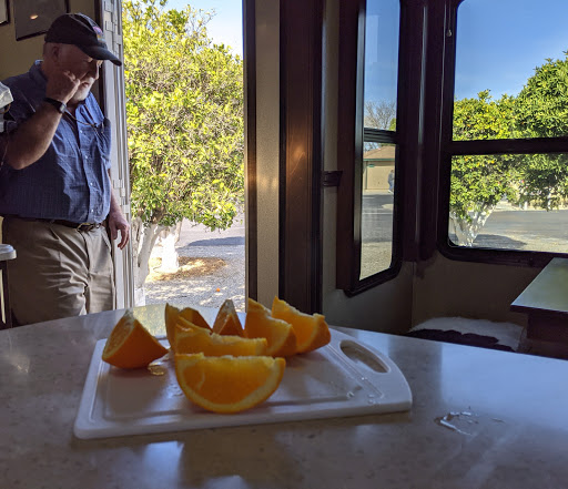Orange Grove RV Park & Resort image