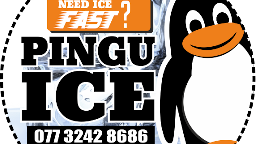 Ice supplier london