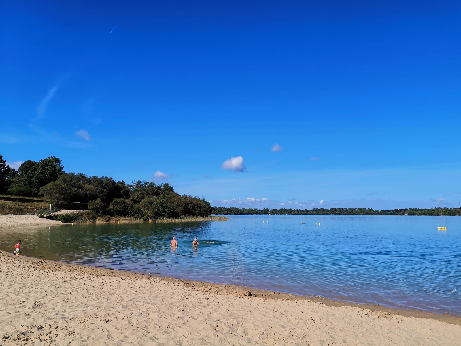 Foto von Plage Arjuzanx wilde gegend