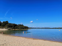 Foto von Plage Arjuzanx wilde gegend