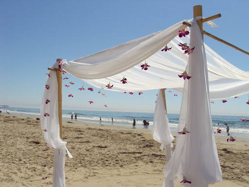 Florist «Pismo Beach Florist», reviews and photos, 695 Price St, Pismo Beach, CA 93449, USA