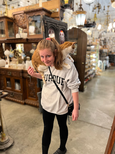 Antique Store «Architectural Antiques Of Indianapolis», reviews and photos, 5000 West 96th Street, Indianapolis, IN 46268, USA