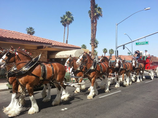 Tobacco Shop «Palm Desert Tobacco», reviews and photos, 73-580 El Paseo D, Palm Desert, CA 92260, USA