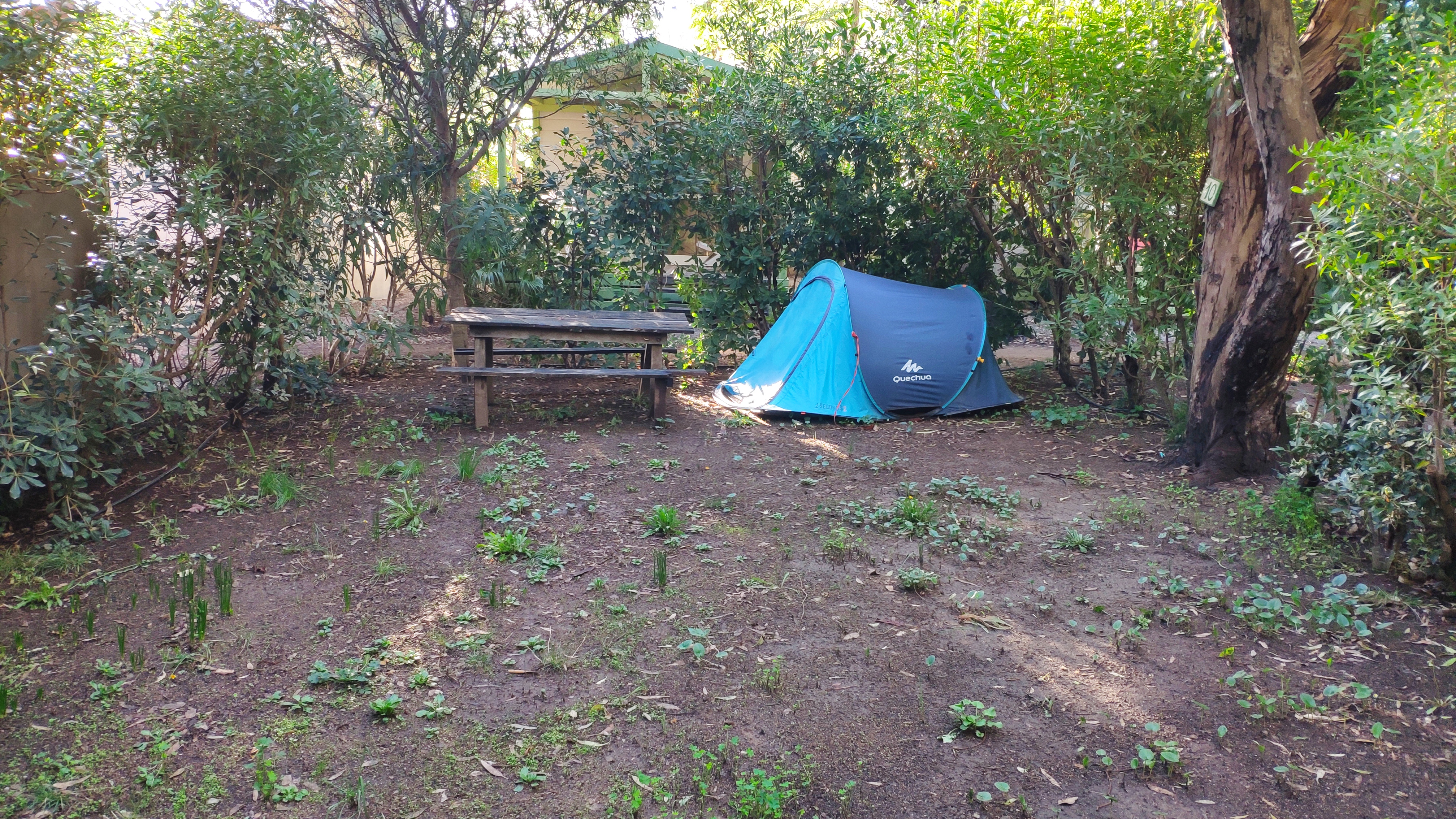 Photo n° 8 de l'avis de Jean-Robert.h fait le 16/10/2020 à 07:22