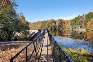 Bays Mountain Park & Planetarium image