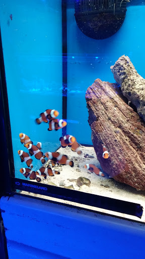 Tropical Fish Store «Scranton Aquarium», reviews and photos, 1819 Sanderson Ave, Scranton, PA 18509, USA