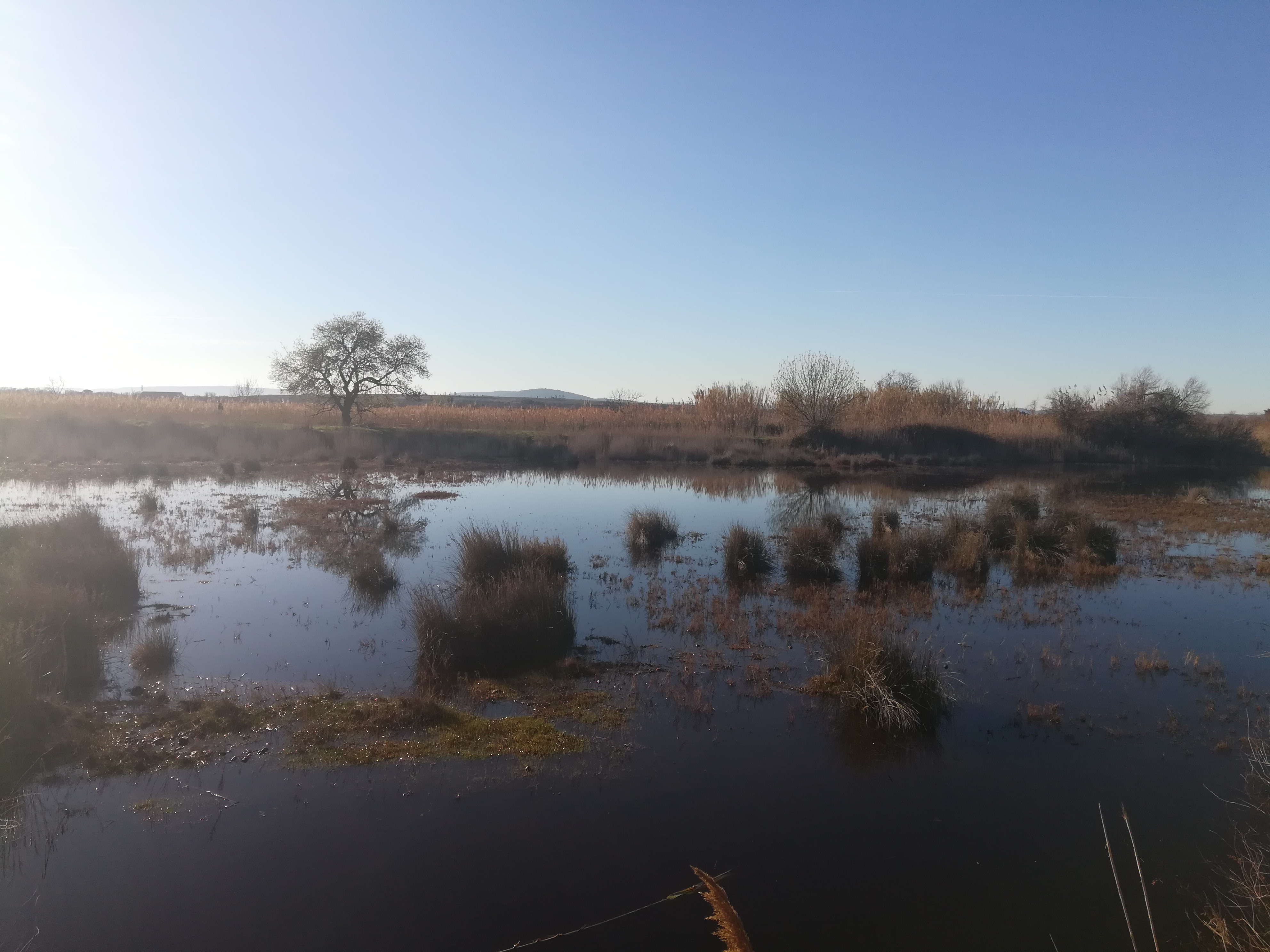 Photo n° 8 de l'avis de Steve.e fait le 29/01/2018 à 14:39