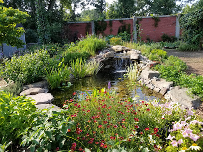 Lifestyle Pond and Patio