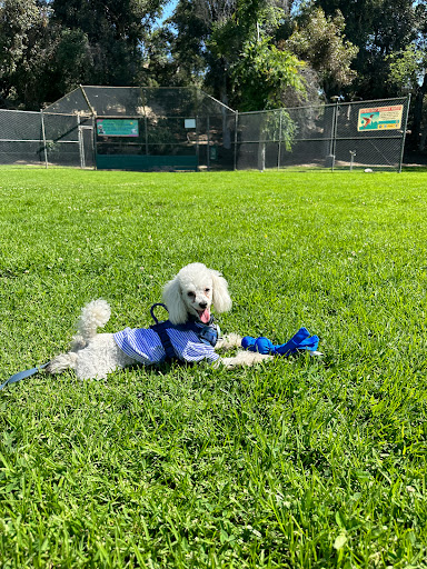 Inland Valley Veterinary Specialists image