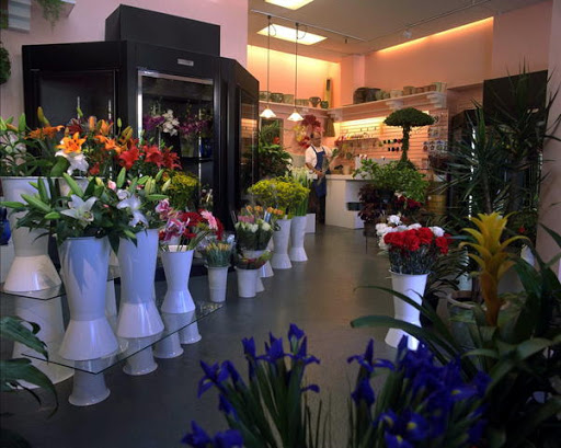 Fillmore Florist San Francisco