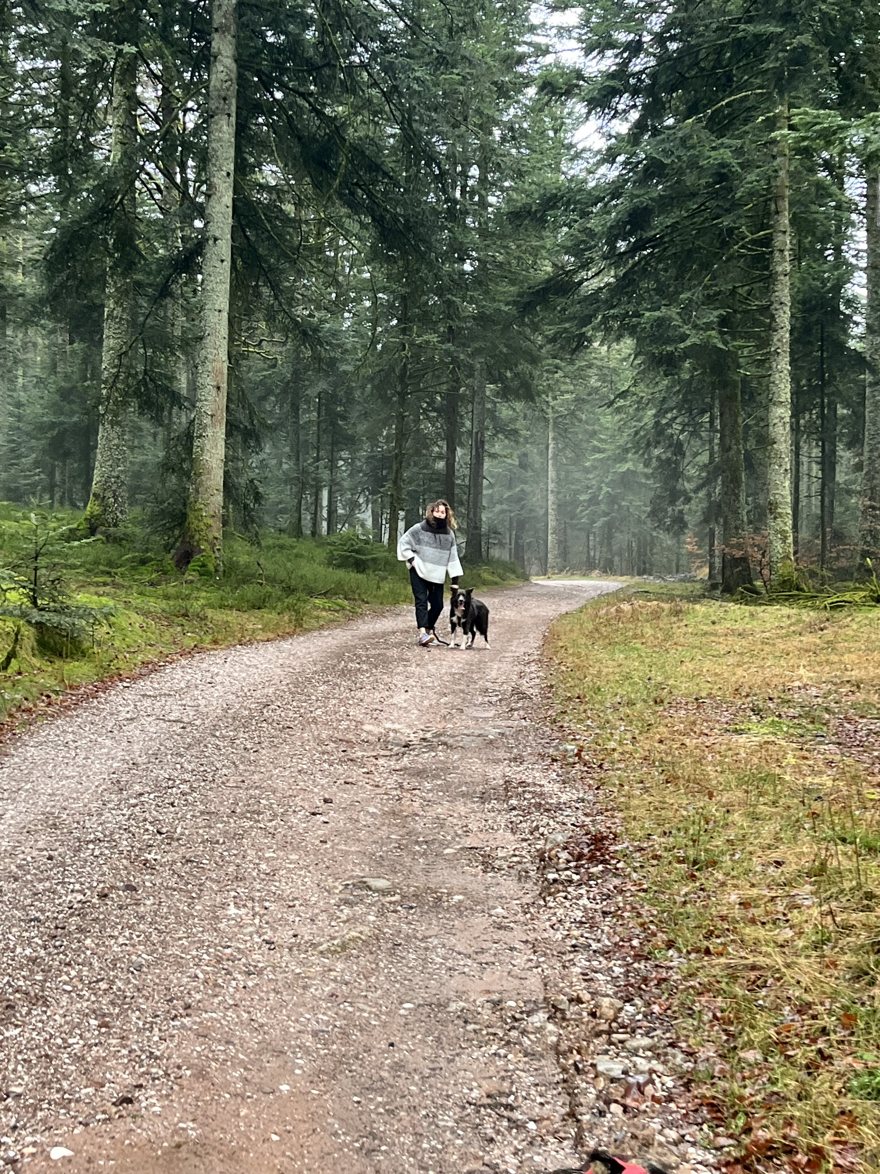 Photo n° 3 de l'avis de Marie.A fait le 23/02/2024 à 17:09