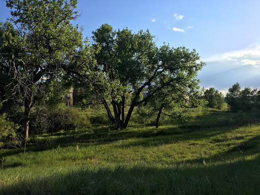 Park «Red-tailed Hawk Park», reviews and photos, 23701 E Hinsdale Way, Aurora, CO 80016, USA