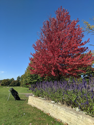 Public Golf Course «Pottawatomie Golf Course», reviews and photos, 845 N 2nd Ave, St Charles, IL 60174, USA