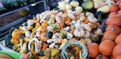 Produce Market «Tacoma Boys», reviews and photos, 5602 6th Ave, Tacoma, WA 98406, USA