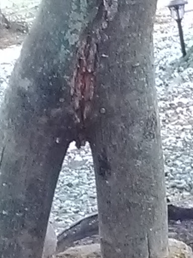 RV Park «Hidden Valley RV & Golf Park», reviews and photos, 81 Damren Rd, Derry, NH 03038, USA