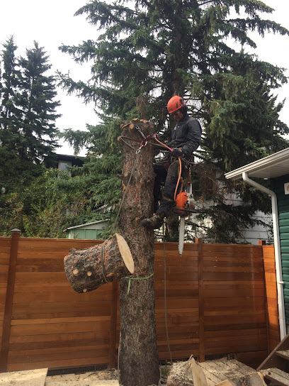 Rob's Tree Removal