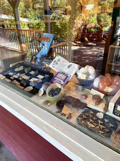 National Forest «Petrified Forest», reviews and photos