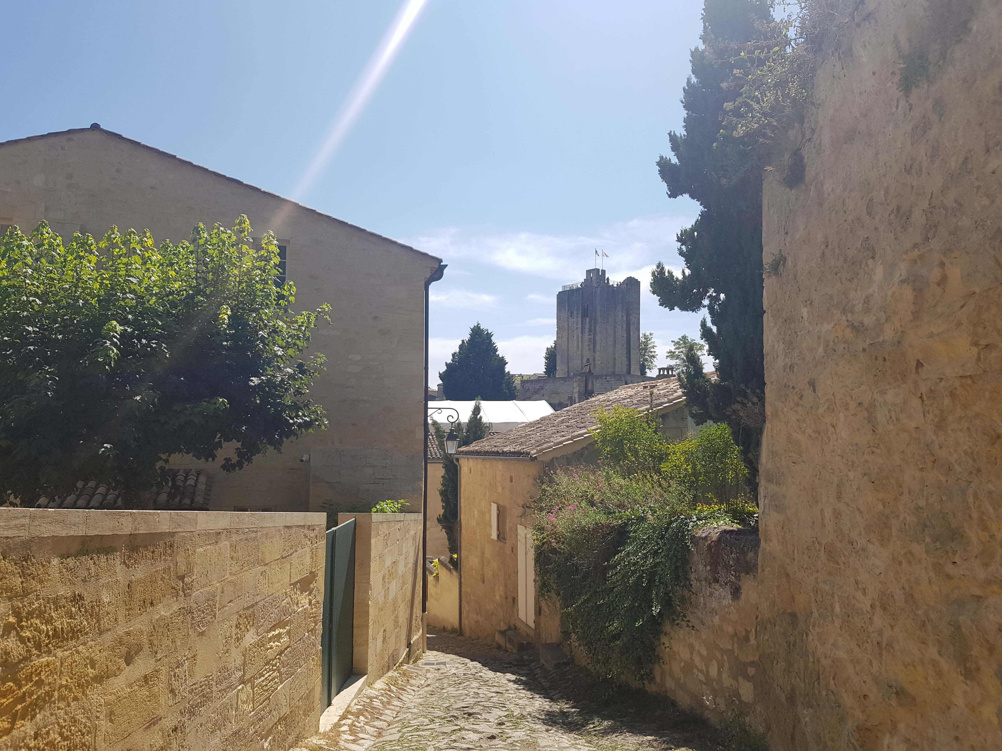 Photo n° 8 de l'avis de Philippe.l fait le 28/08/2021 à 10:42