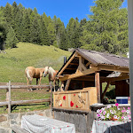 Photo n°1 de l'avis de Johannes.i fait le 18/09/2023 à 19:02 sur le  Malga Jumela à Pozza di Fassa