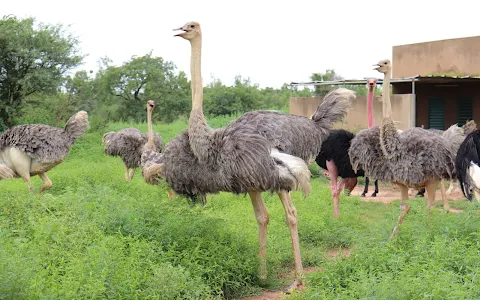 Parc Animalier de Ziniaré image