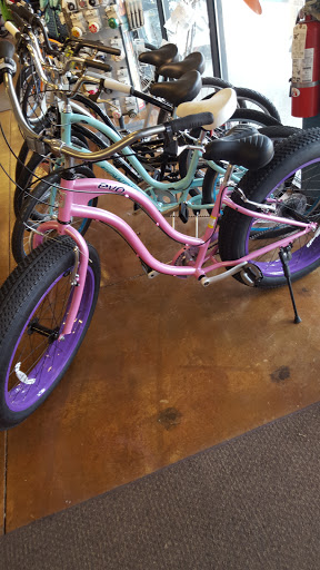 Bicycle Repair Shop «Bike Zone», reviews and photos, 2100 W Ridge Rd, Rochester, NY 14626, USA