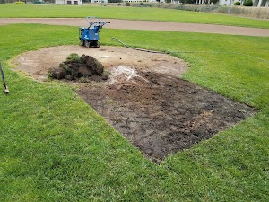 Fort Scott Field - photo 19