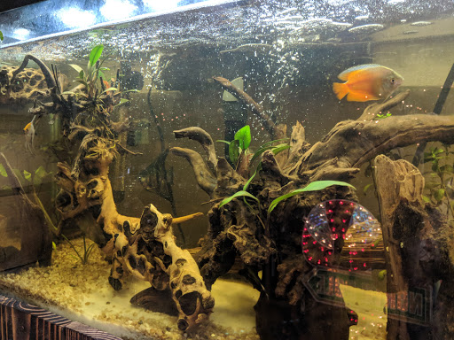 Thrift Store «Second Impressions - Resale for a Cause», reviews and photos, 24412 Muirlands Blvd, Lake Forest, CA 92630, USA