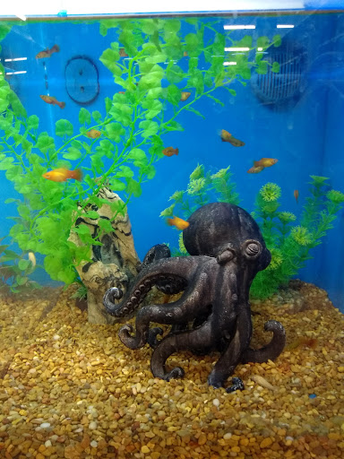 Pet Supply Store «PetSmart», reviews and photos, 4429 Pecanland Mall Dr, Monroe, LA 71203, USA