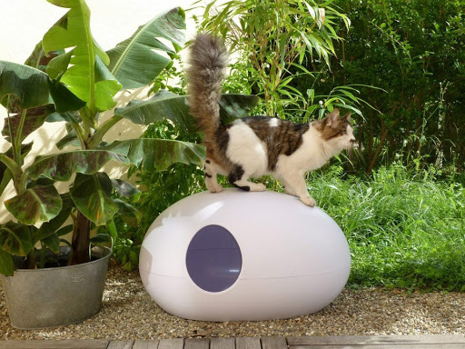 Die Moderne Katze unter Freiburg im Breisgau, 