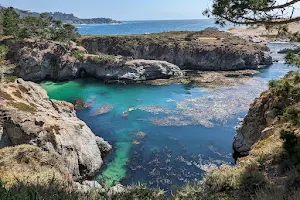 Point Lobos State Natural Reserve image