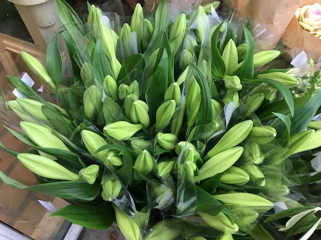 Nytorv blomster - Blomsterbutik