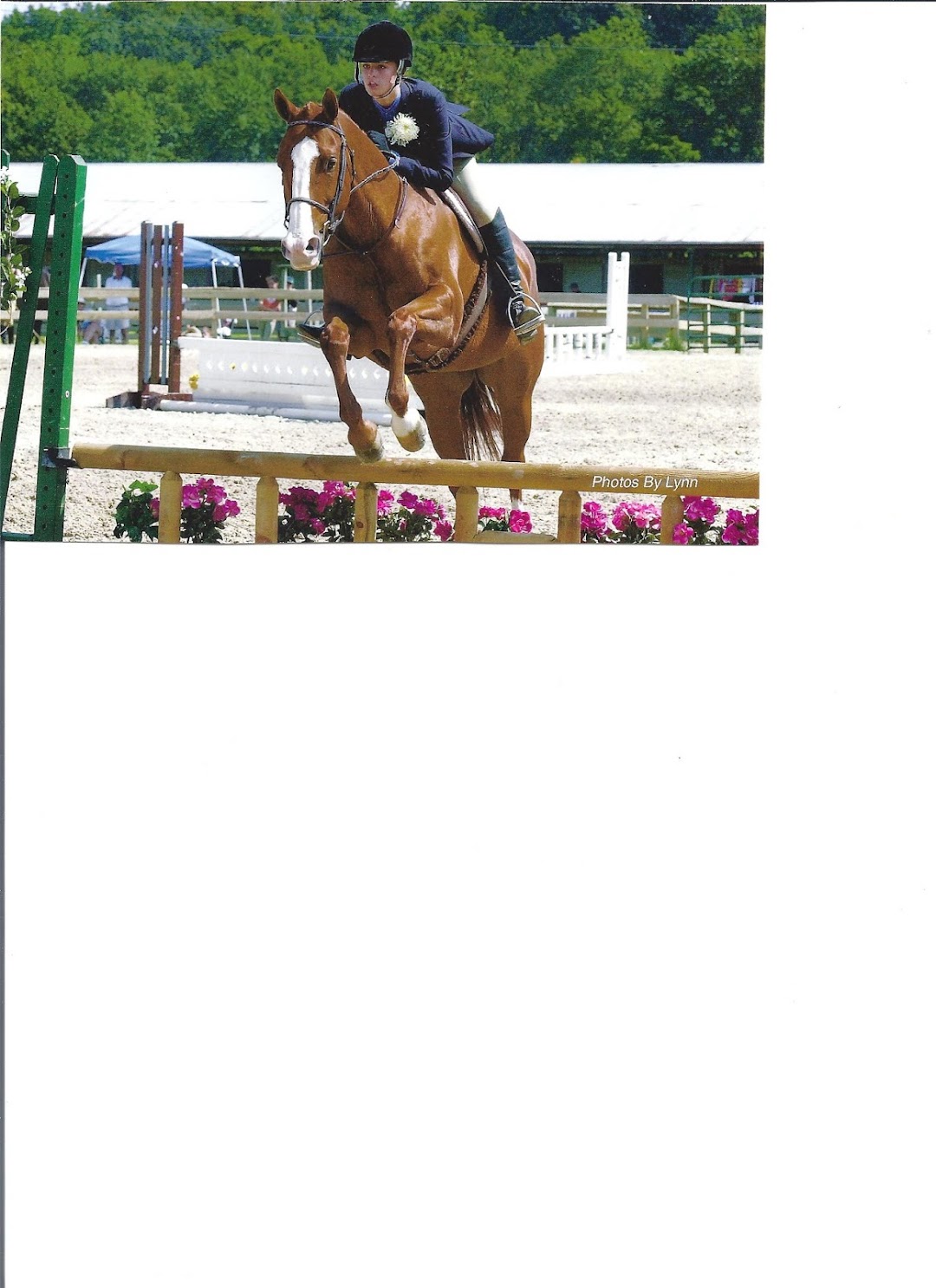 Loftmar Stables, Stable Enterprises LLC